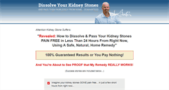 Desktop Screenshot of kidneystoneremedy.com