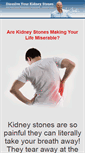 Mobile Screenshot of kidneystoneremedy.com