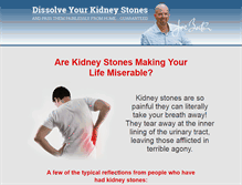 Tablet Screenshot of kidneystoneremedy.com